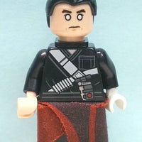 Minifig sw0789