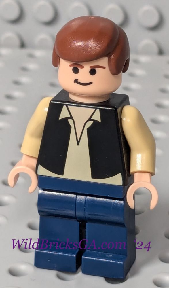 Minifig sw0601