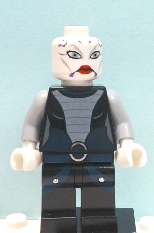 Minifig sw0318