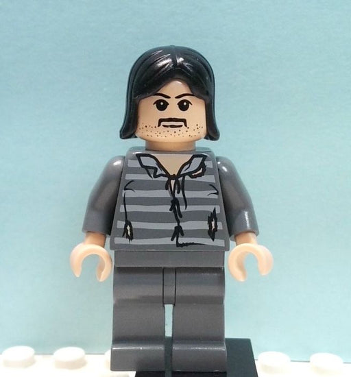 Minifig hp045