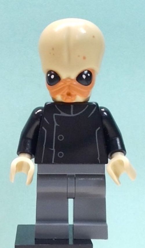 Minifig sw0554