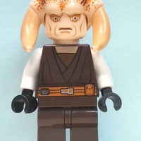 Minifig sw0308