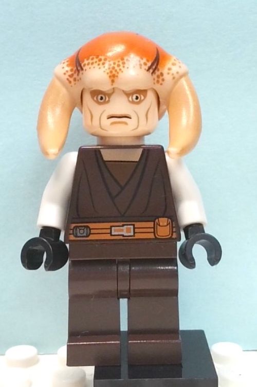 Minifig sw0308