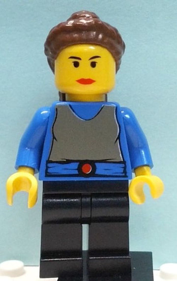 Minifig sw0025