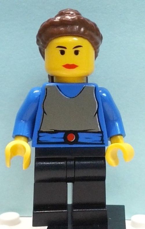 Minifig sw0025