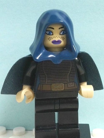 Minifig sw0379