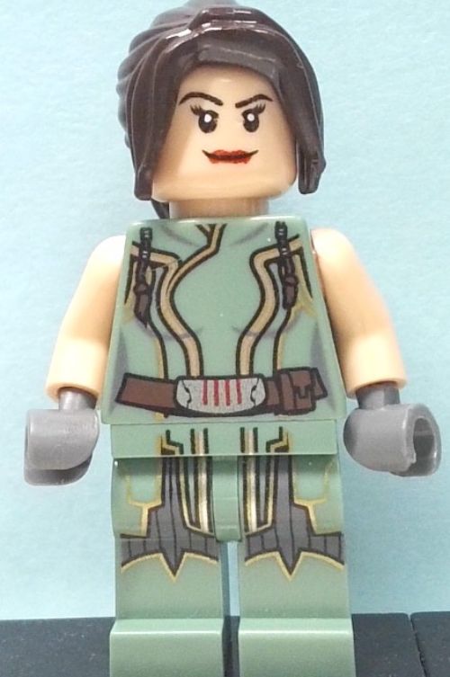 Minifig sw0389