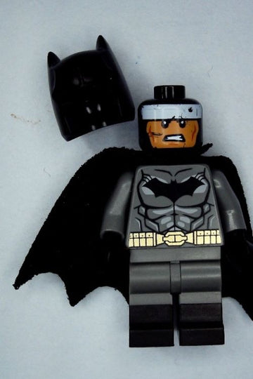 Minifig sh0204