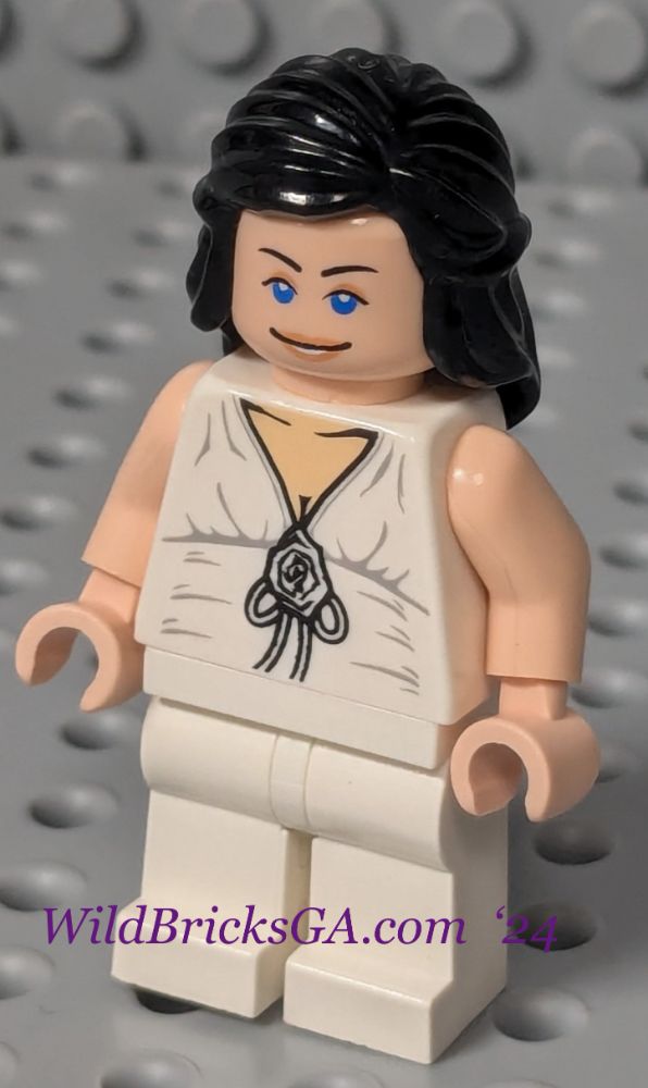 Minifig iaj007
