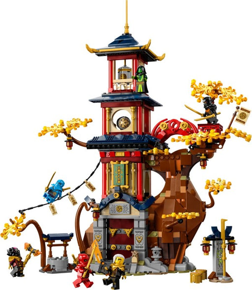 Set 71795-1