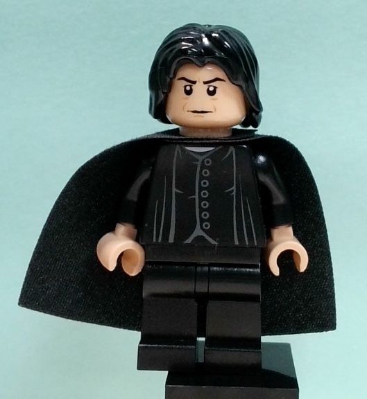 Minifig hp100