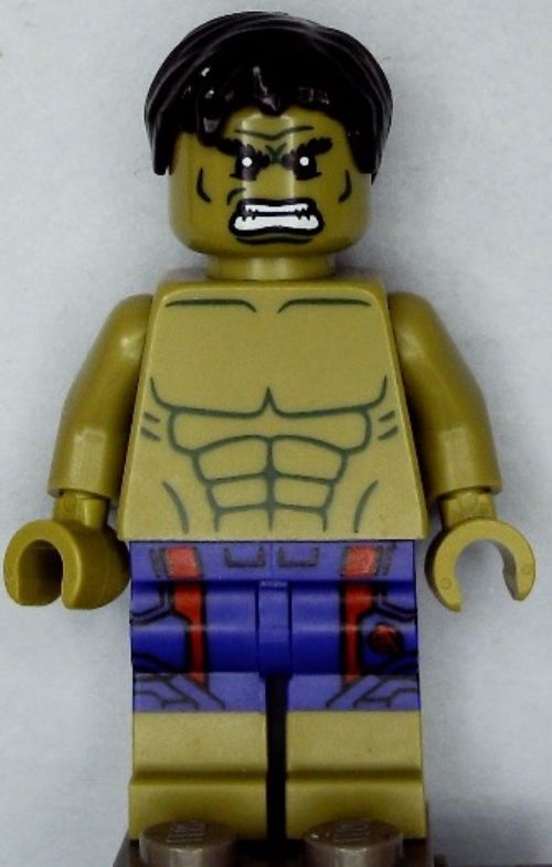 Minifig sh0212