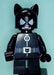 Minifig sh0243