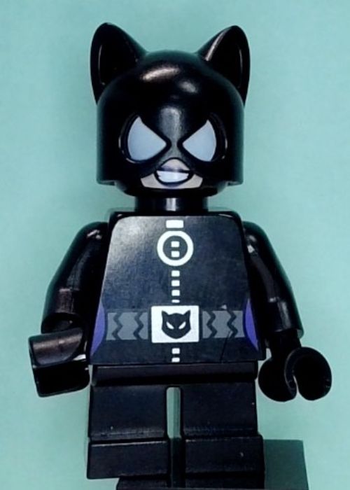 Minifig sh0243
